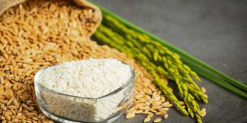 El arroz es un elemento fundamental en la dieta de millones de personas de todo el mundo
