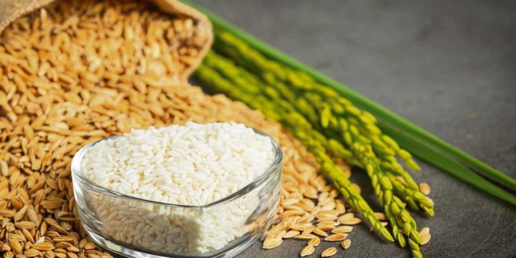 El arroz es un elemento fundamental en la dieta de millones de personas de todo el mundo