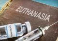 9000 eutanasias al año: el experimento holandés bajo la lupa