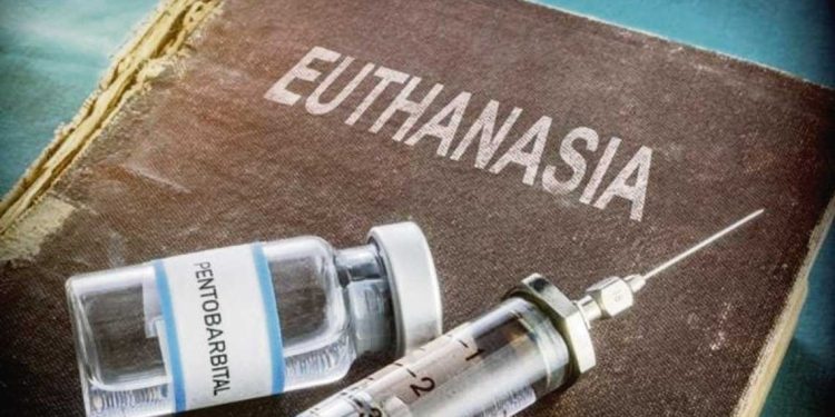 9000 eutanasias al año: el experimento holandés bajo la lupa