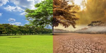 Cambio climático o complot ambiental