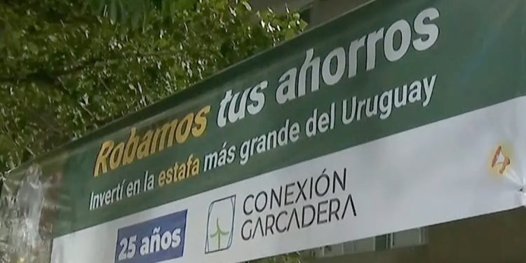 Conexión Ganadera: “Tuya, Daniela”