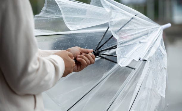 Variabilidad, lluvias y heladas tardías: así cierra la primavera antes del verano