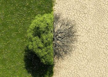 Clima extremo y brecha aseguradora: el desafío económico que ya golpea al mundo