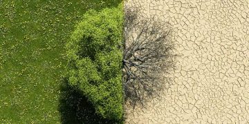 Clima extremo y brecha aseguradora: el desafío económico que ya golpea al mundo