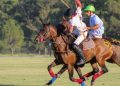 El polo nuevamente es una de las principales atracciones para este verano