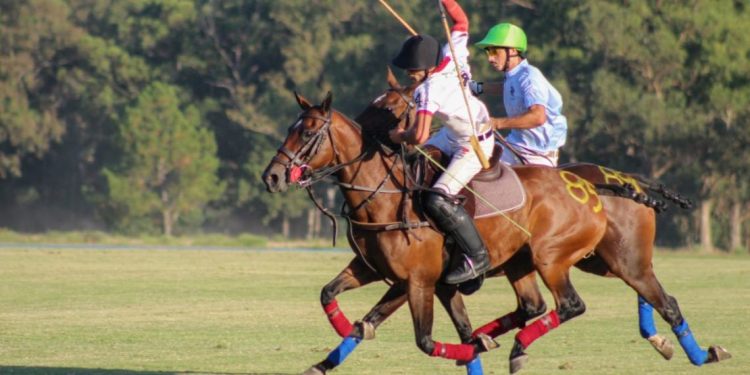 El polo nuevamente es una de las principales atracciones para este verano
