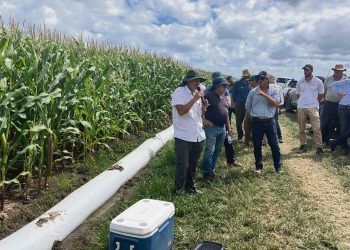 La geonivelación abre un abanico de posibilidades para la agricultura local