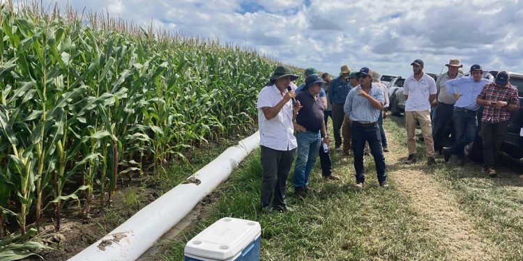 La geonivelación abre un abanico de posibilidades para la agricultura local