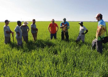 Especialista rescata el oficio de aguador en los países del Mercosur