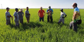 Especialista rescata el oficio de aguador en los países del Mercosur