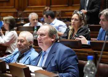 Presidente de la Comisión de Ganadería de Diputados dijo tener “dudas” sobre el programa Procría