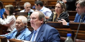Presidente de la Comisión de Ganadería de Diputados dijo tener “dudas” sobre el programa Procría
