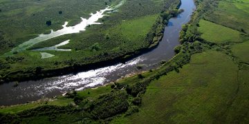 Uruguay ante una posible sequía en 2026 y el apuro del gobierno por fuentes alternativas