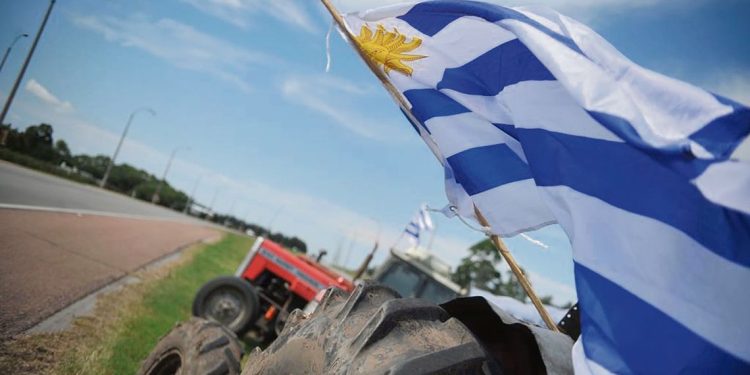 La contradicción del Uruguay productivo