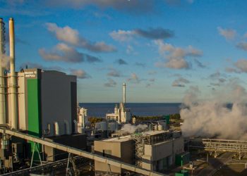 Distinguen a la forestal Montes del Plata como Marca País Uruguay