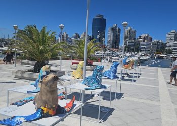 La muestra Lobos se presenta en Punta del Este