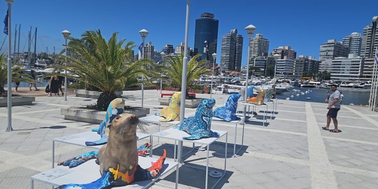 La muestra Lobos se presenta en Punta del Este