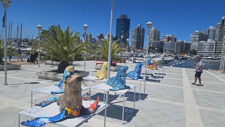 La muestra Lobos se presenta en Punta del Este