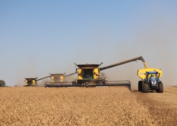 De la mano de Corporación de Maquinaria, el 2026 está llamado a ser un buen año para la agricultura