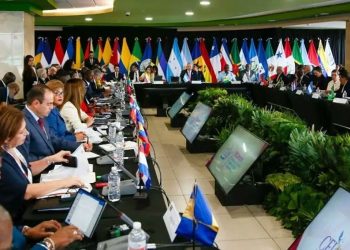 CELAC fracasa en lograr una posición común sobre la intervención militar estadounidense en Venezuela