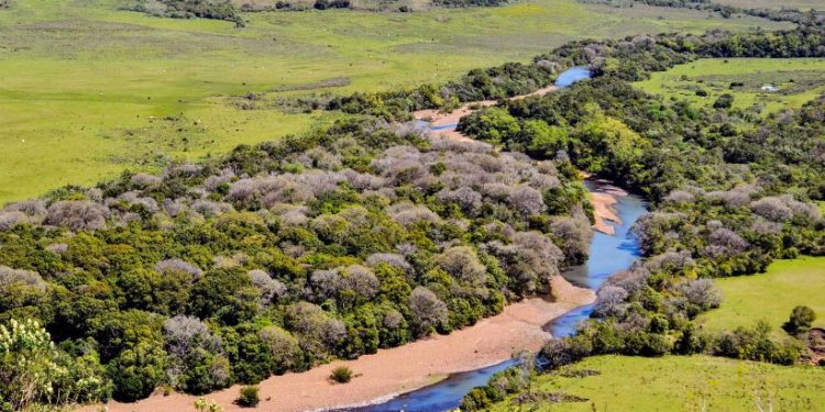 Valle del Lunarejo: donde la biodiversidad se vuelve visible