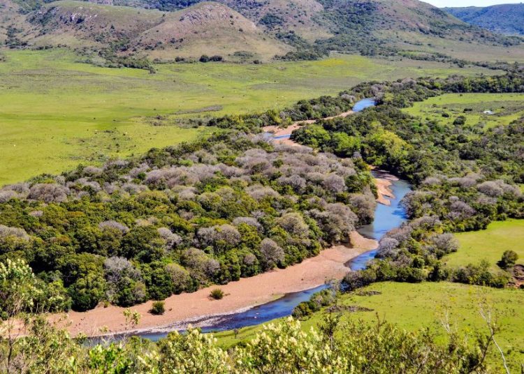Valle del Lunarejo: donde la biodiversidad se vuelve visible
