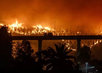 Megaincendio en Chile: tragedia, unidad política y la sombra de la intencionalidad