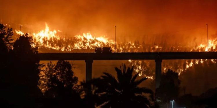 Megaincendio en Chile: tragedia, unidad política y la sombra de la intencionalidad