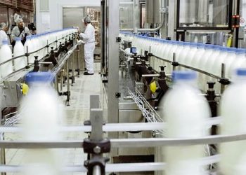 Uruguay debe mirar otros rubros, como el lácteo, no solo la carne