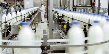 Uruguay debe mirar otros rubros, como el lácteo, no solo la carne