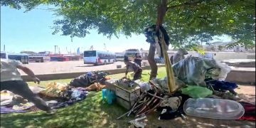 Operativo Calle en Montevideo: Un balance de la primera semana con más de 160 traslados