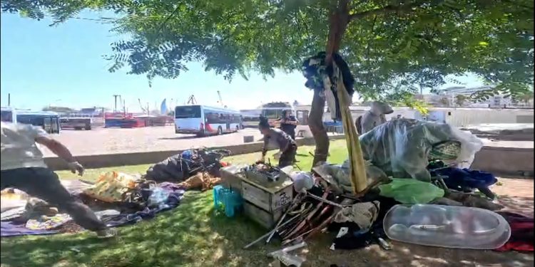 Operativo Calle en Montevideo: Un balance de la primera semana con más de 160 traslados