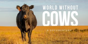 Un mundo sin vacas: un documental que reivindica el rol de la ganadería y llega a Agro en Punta