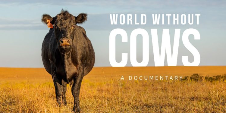 Un mundo sin vacas: un documental que reivindica el rol de la ganadería y llega a Agro en Punta